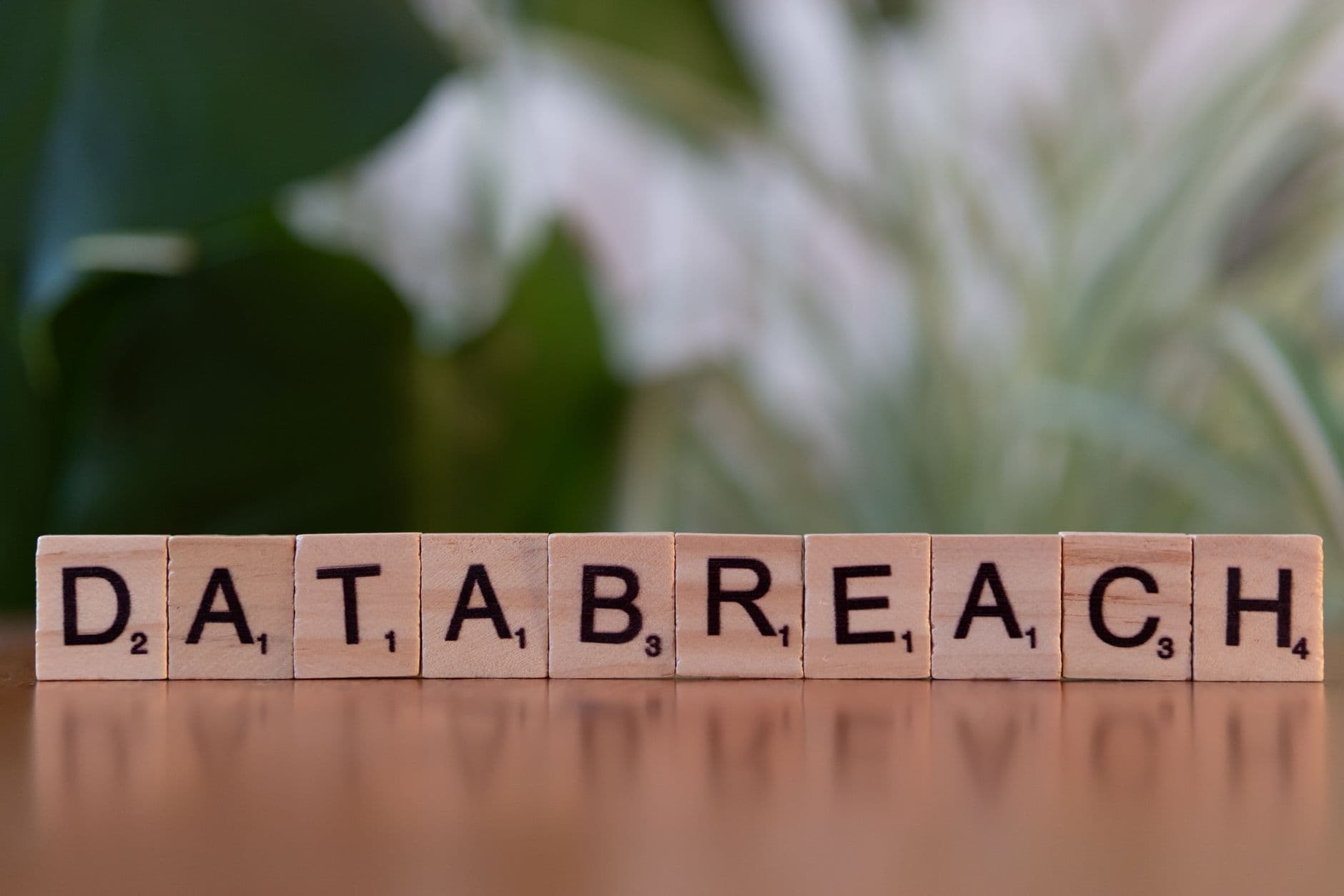 Scrabble tiles spelling data breach on a blurred background, representing the cost of a PCI cardholder data breach
