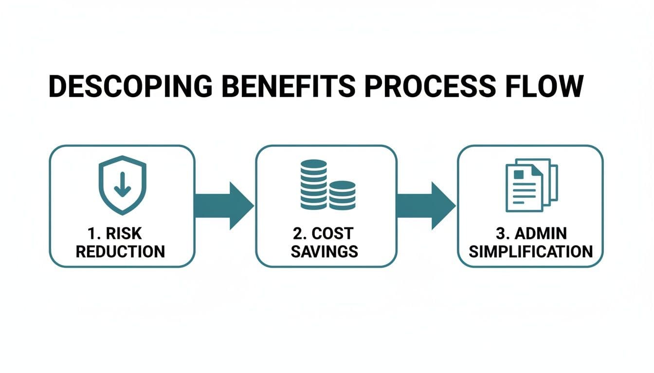 Process flow diagram illustrating descoping benefits: risk reduction, cost savings, and admin simplification.