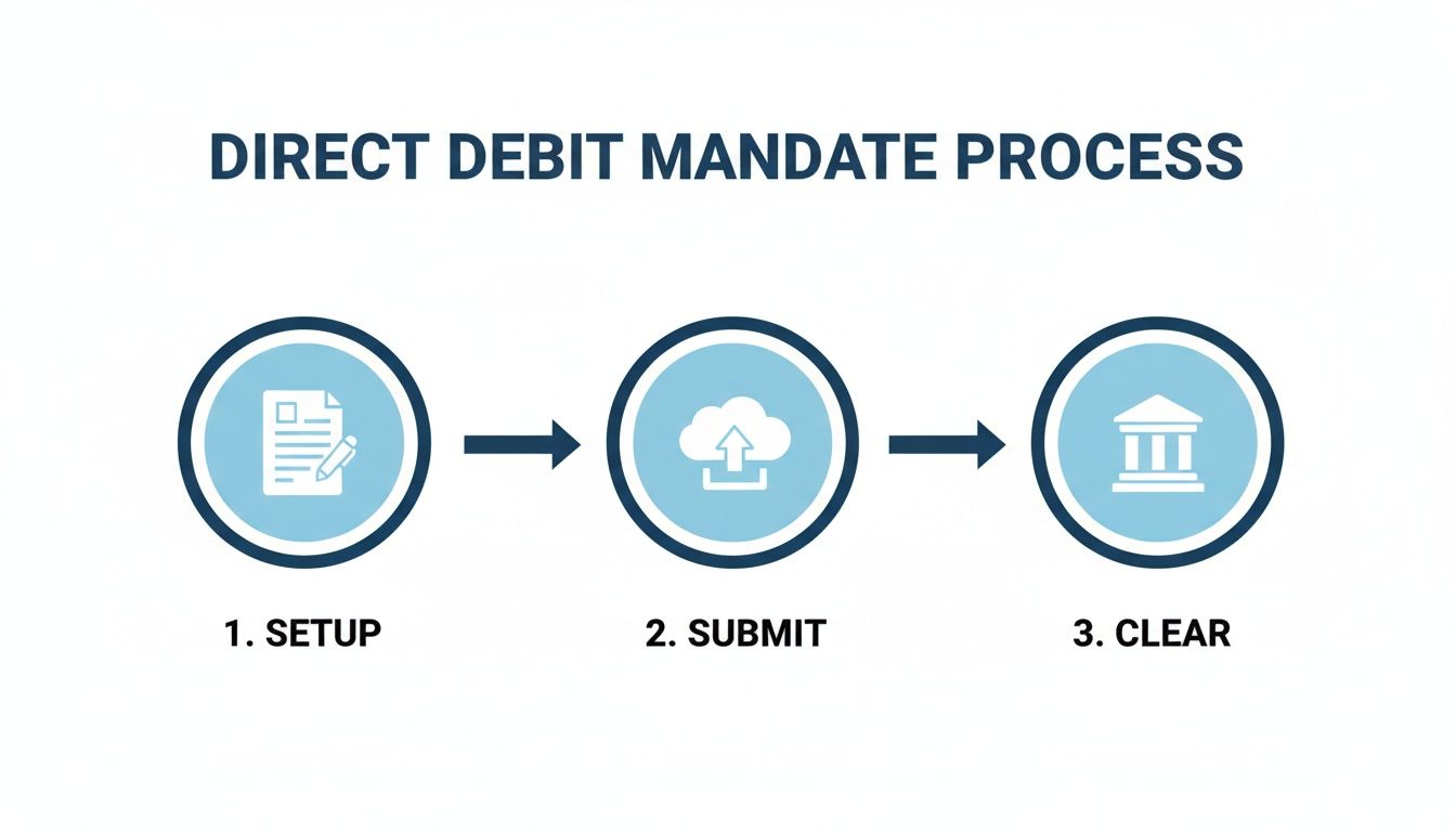 Infographic showing the direct debit mandate process with three steps: setup, submit, and clear.