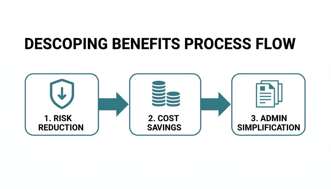 Process flow diagram illustrating descoping benefits: risk reduction, cost savings, and admin simplification.